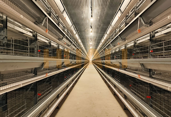 Layer cage