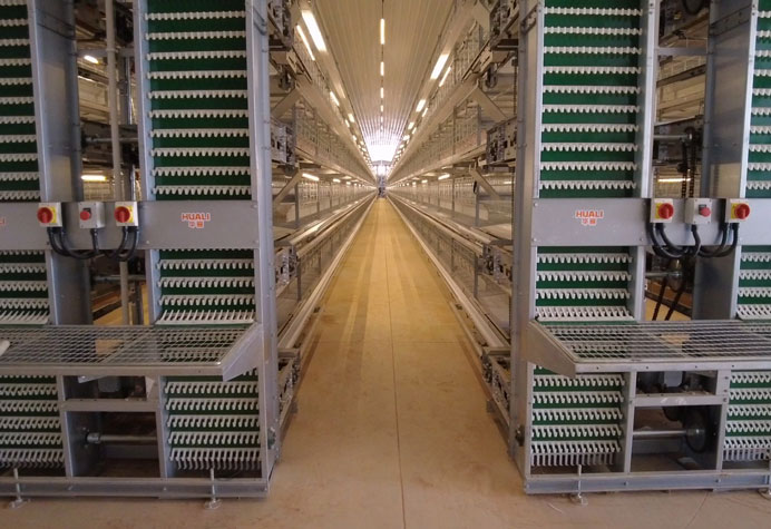 Layer duck cage