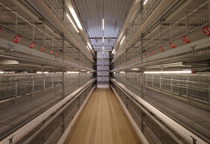 Layer duck cage