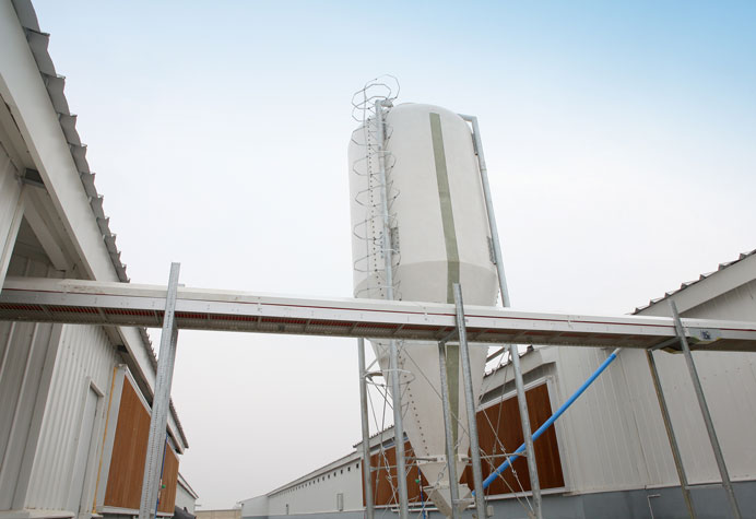 Feeding line conveying