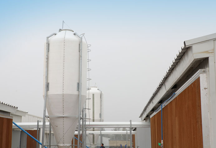 Feeding line conveying