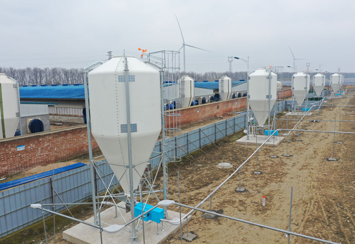 Feeding line conveying