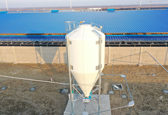 Feeding line conveying