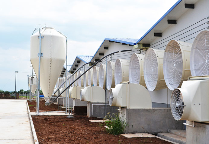 Feeding line conveying