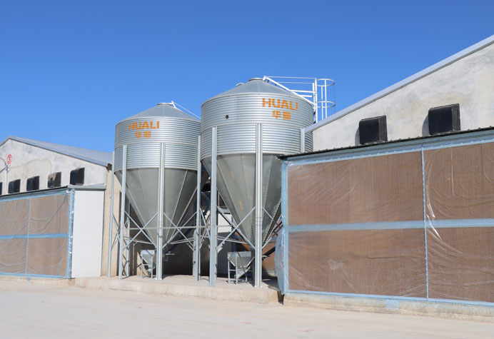 Feeding line conveying