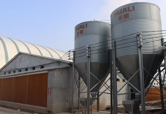 Feeding line conveying
