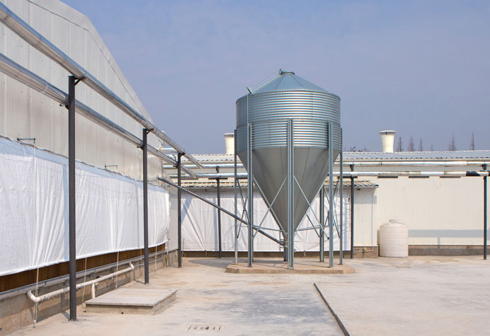 Feeding line conveying