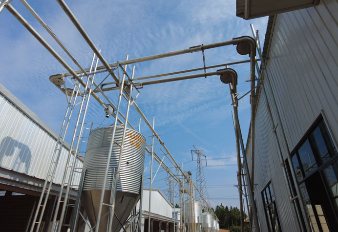 Feeding line conveying