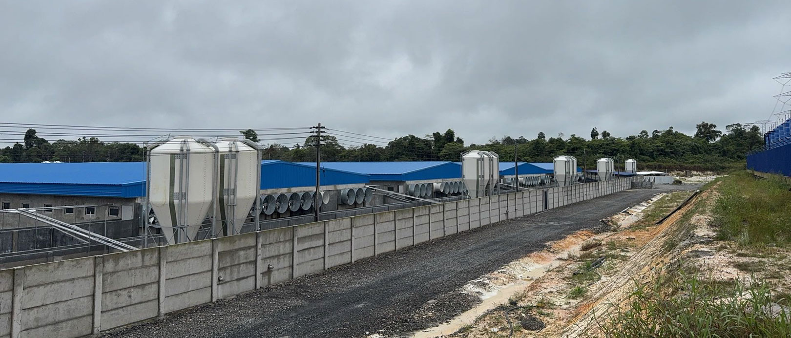 Malaysia 2,000 Sows Farm Project