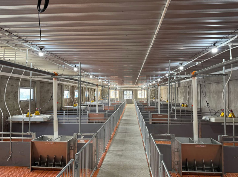 Malaysia 2,000 Sows Farm Project