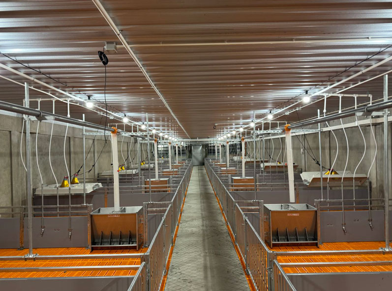 Malaysia 2,000 Sows Farm Project