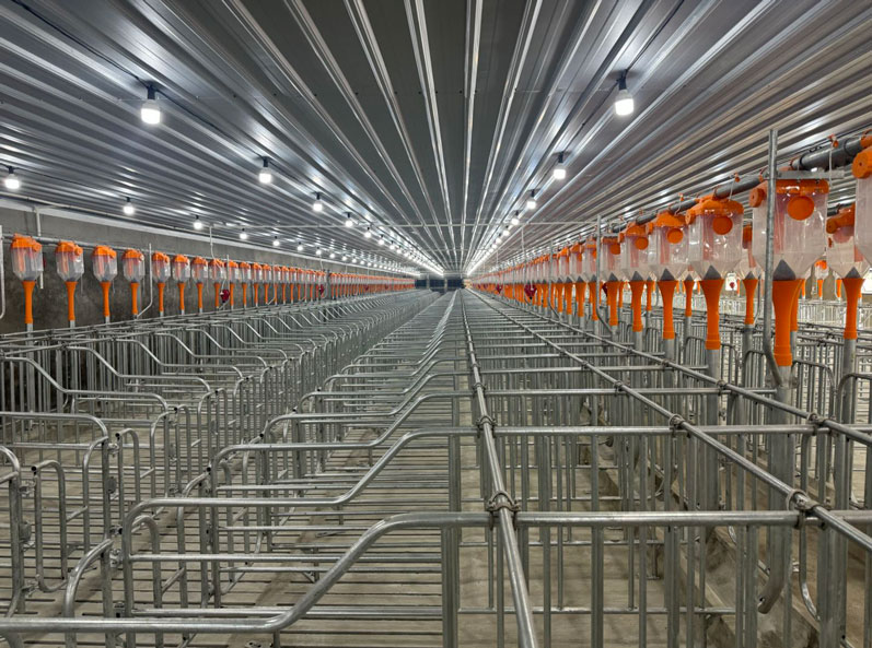 Malaysia 2,000 Sows Farm Project
