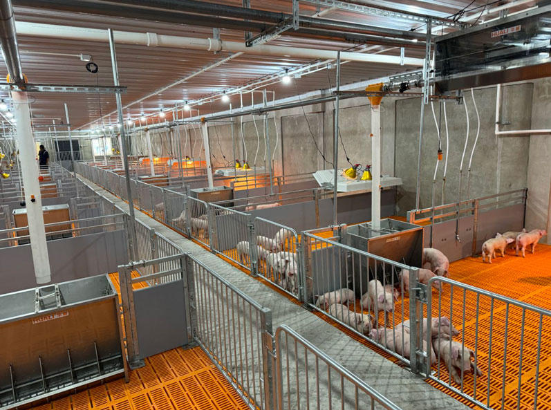 Malaysia 2,000 Sows Farm Project