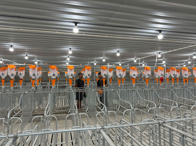 Malaysia 2,000 Sows Farm Project