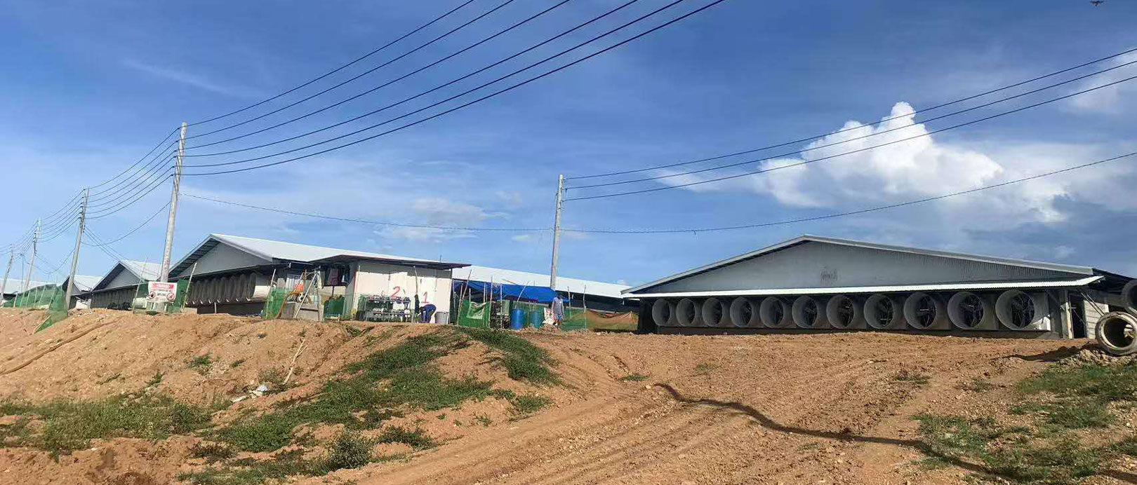 Philippines 3,000 Sows Farm Project