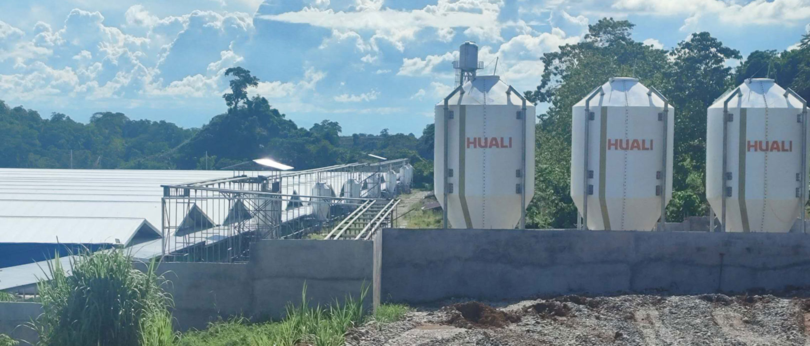 Philippines 3,000 Sows Farm Project