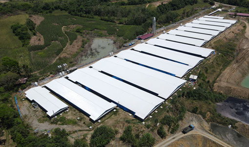 Philippines 3,000 Sows Farm Project