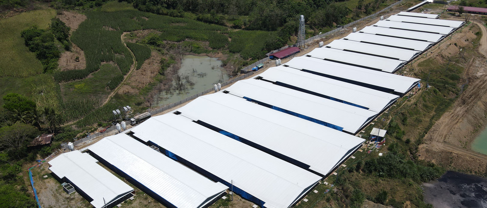 Philippines 3,000 Sows Farm Project