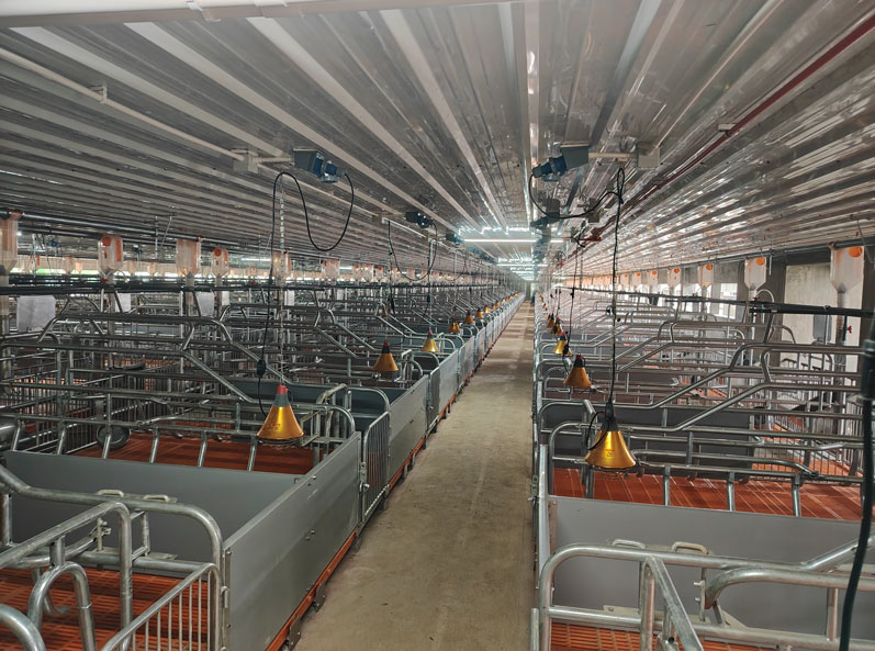 Philippines 3,000 Sows Farm Project