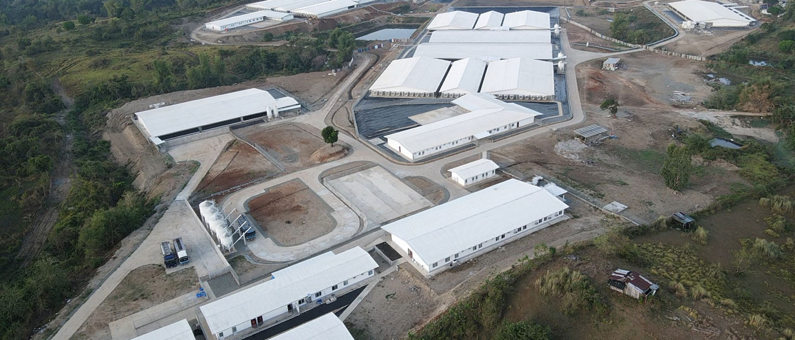 Philippines 5,000 PS Sow Farm Project