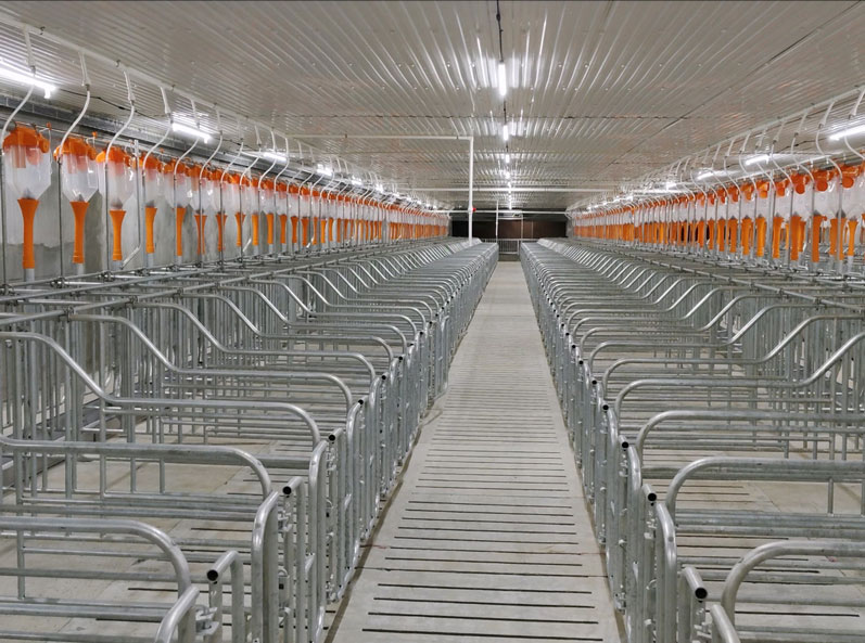 Philippines 5,000 PS Sow Farm Project