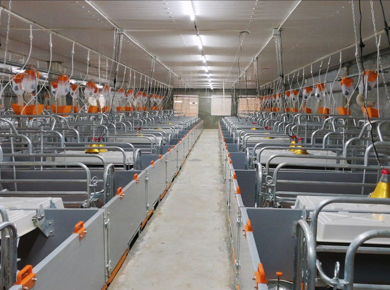 Philippines 5,000 PS Sow Farm Project