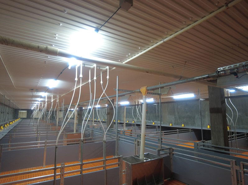 Philippines 5,000 PS Sow Farm Project