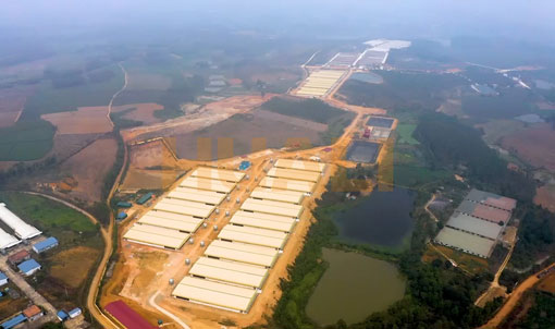 Vietnam Fattening Farm Project