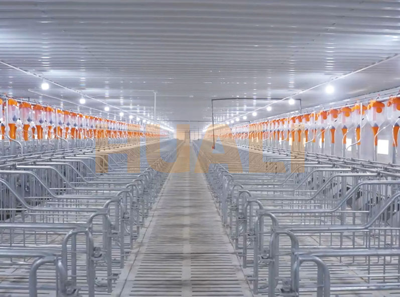 Vietnam Fattening Farm Project