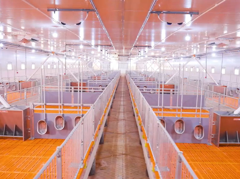 Vietnam Fattening Farm Project