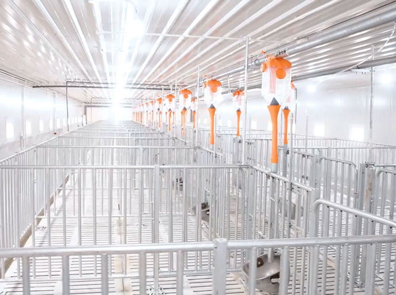 Vietnam Fattening Farm Project