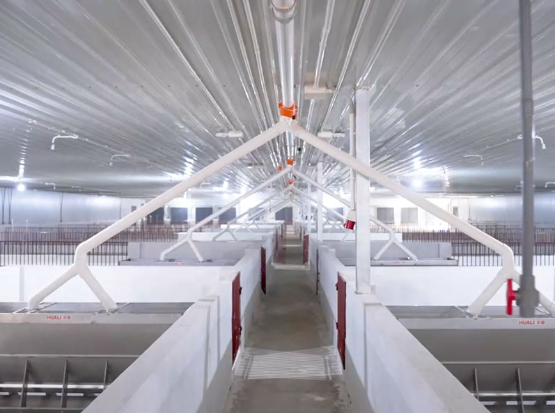 Vietnam Fattening Farm Project