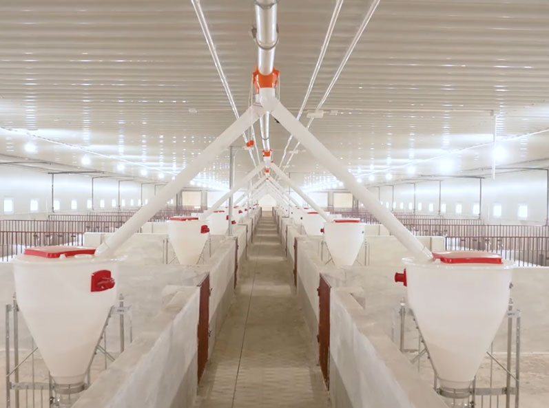 Vietnam Fattening Farm Project