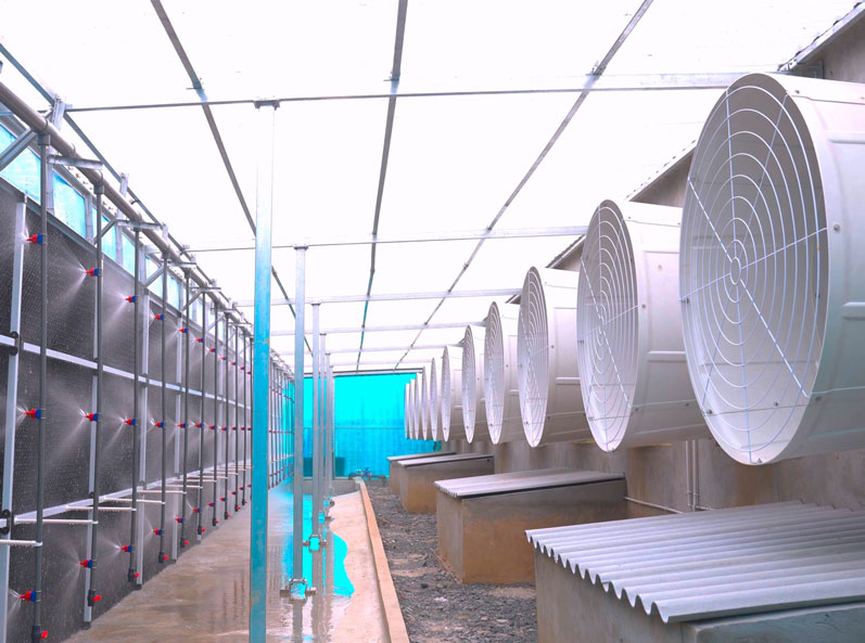 Vietnam Pig Farm Equipment EPC Project