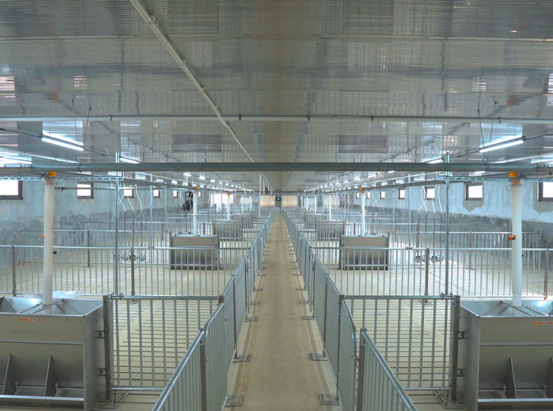 Vietnam Pig Farm Equipment EPC Project