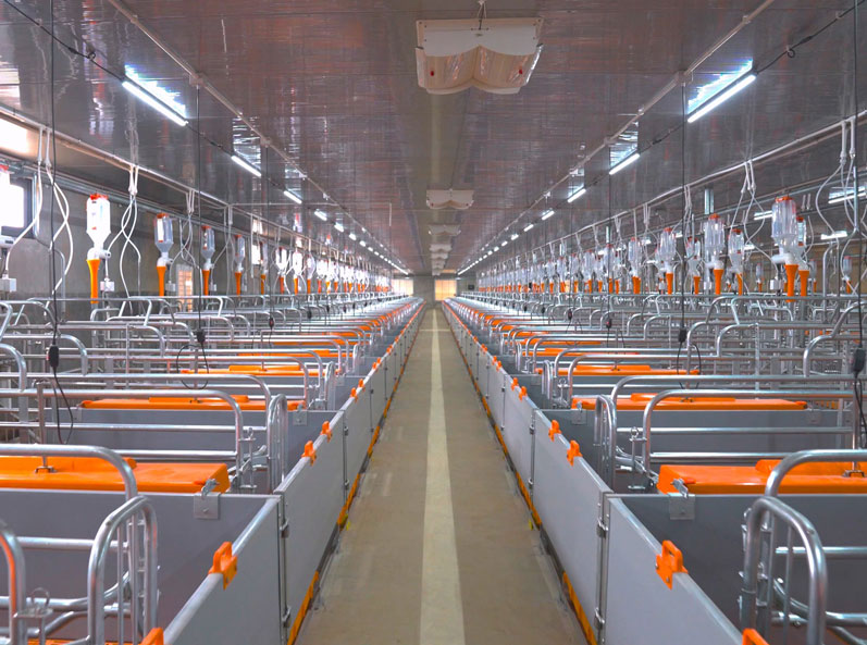 Vietnam Pig Farm Equipment EPC Project