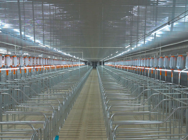 Vietnam Pig Farm Equipment EPC Project