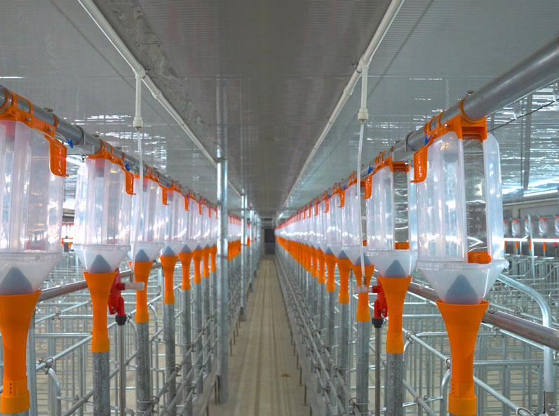 Vietnam Pig Farm Equipment EPC Project