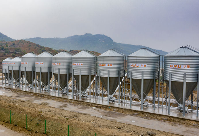Feeding line conveying