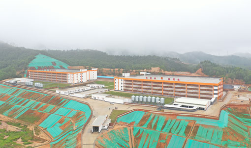Guangdong Jinxinnong Multi-story Pig Farm Project