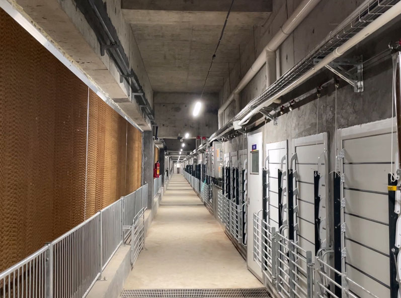 Guangdong Jinxinnong Multi-story Pig Farm Project