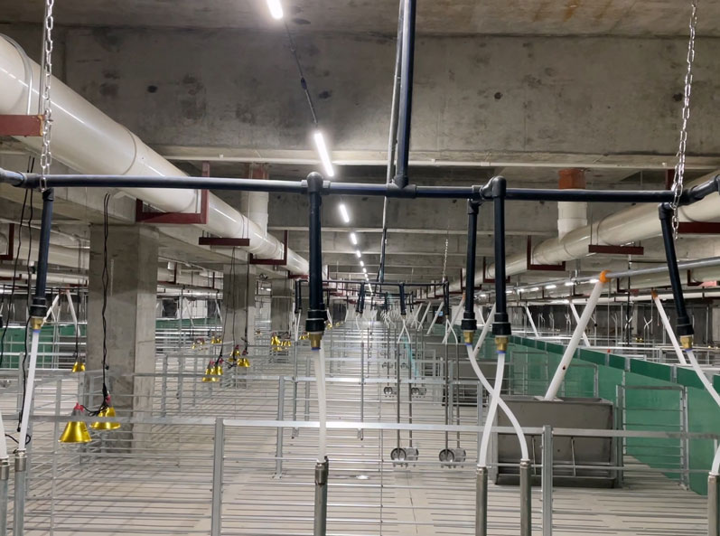 Guangdong Jinxinnong Multi-story Pig Farm Project