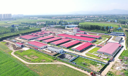 Hebei Zhuozhou CAU Livestock Project Experimental Base