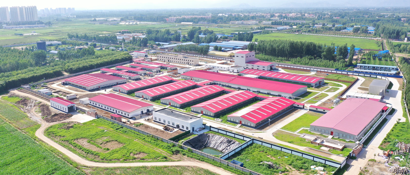 Hebei Zhuozhou CAU Livestock Project Experimental Base