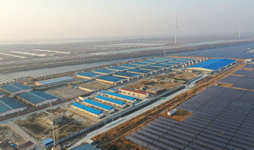 Jiangsu Dongtai COFCO Fattening Farm Project