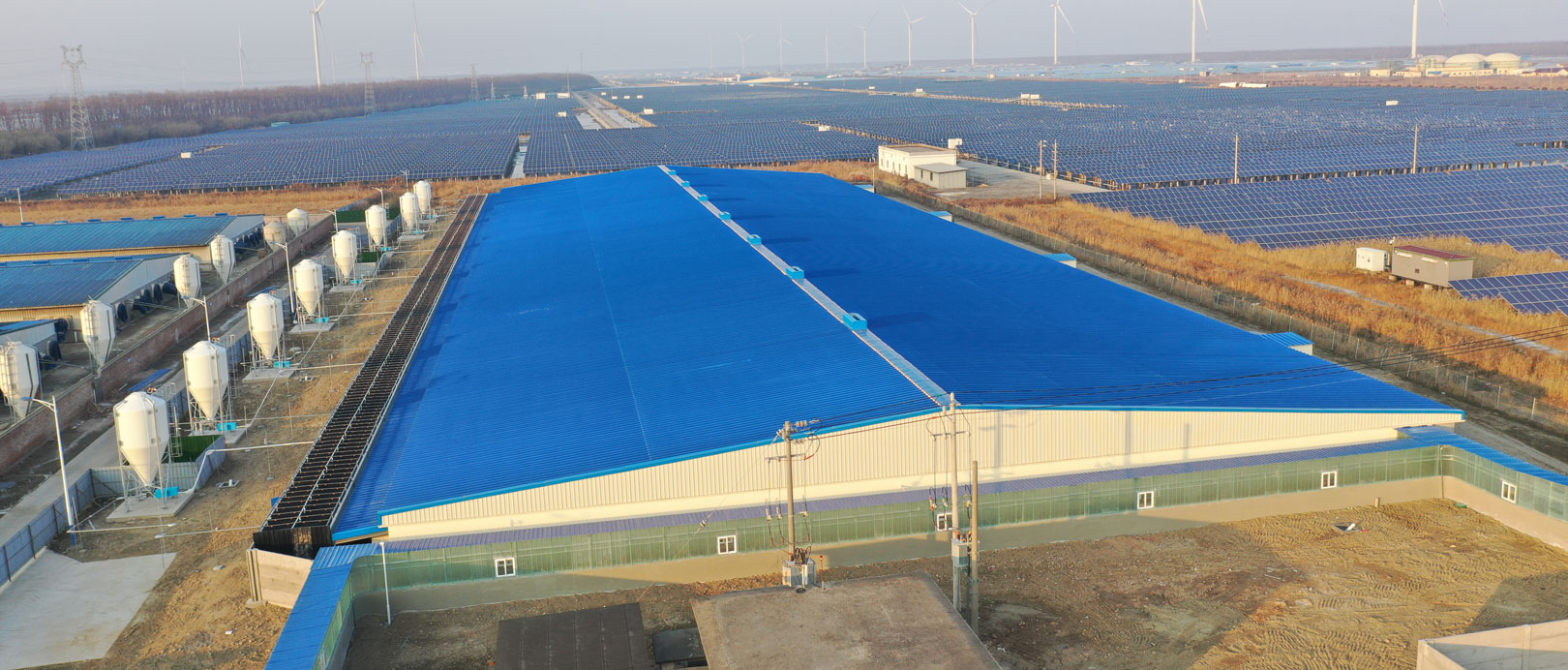 Jiangsu Dongtai COFCO Fattening Farm Project