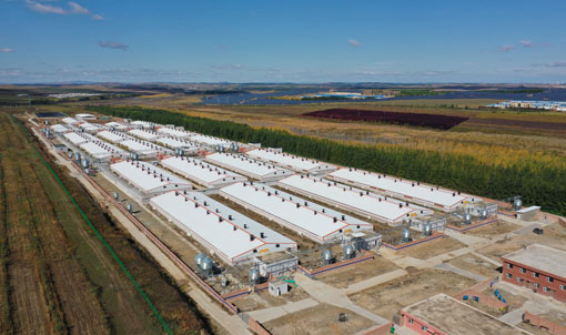Keyou Qianqi Fattening Farm