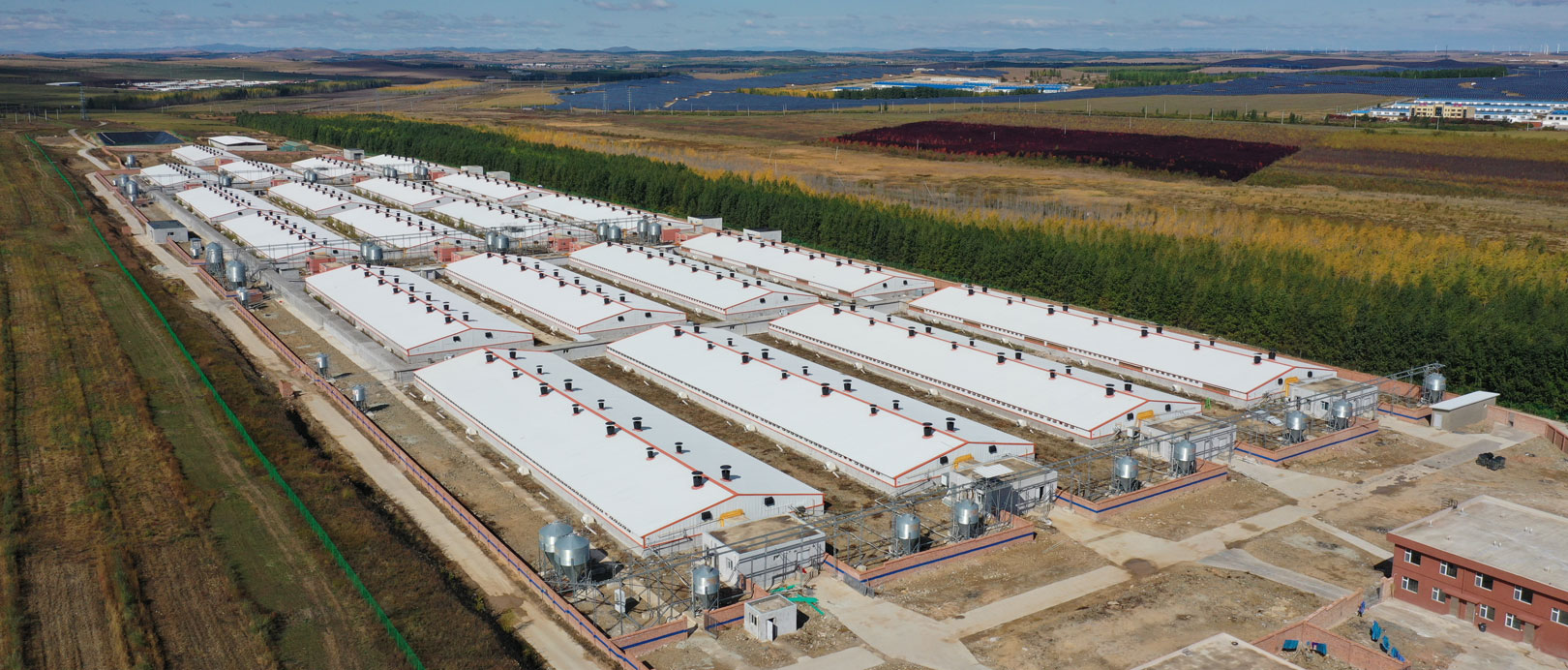 Keyou Qianqi Fattening Farm