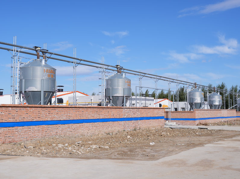 Keyou Qianqi Fattening Farm