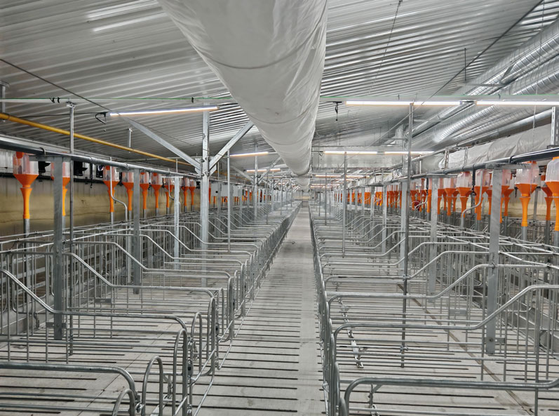 Keyou Qianqi Fattening Farm